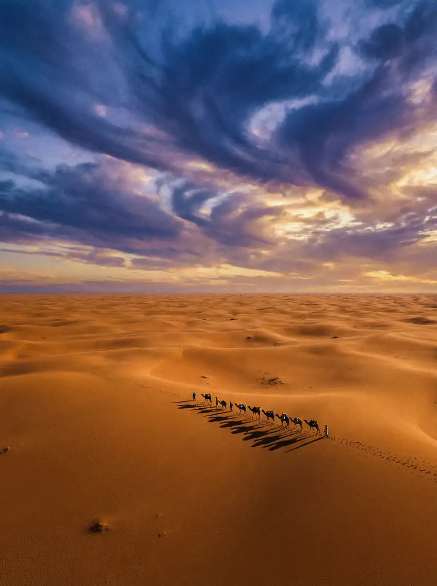 纪录片《丝路回响》 - 女神视频 项目